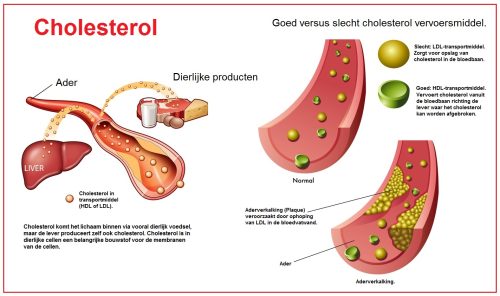 Cholesterol Control 90 Vcaps - Afbeelding 3