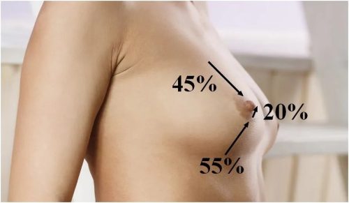 Full Breast Formule - Afbeelding 3